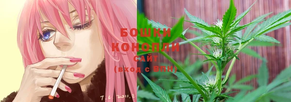 ECSTASY Кукмор