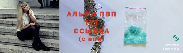 ECSTASY Кукмор